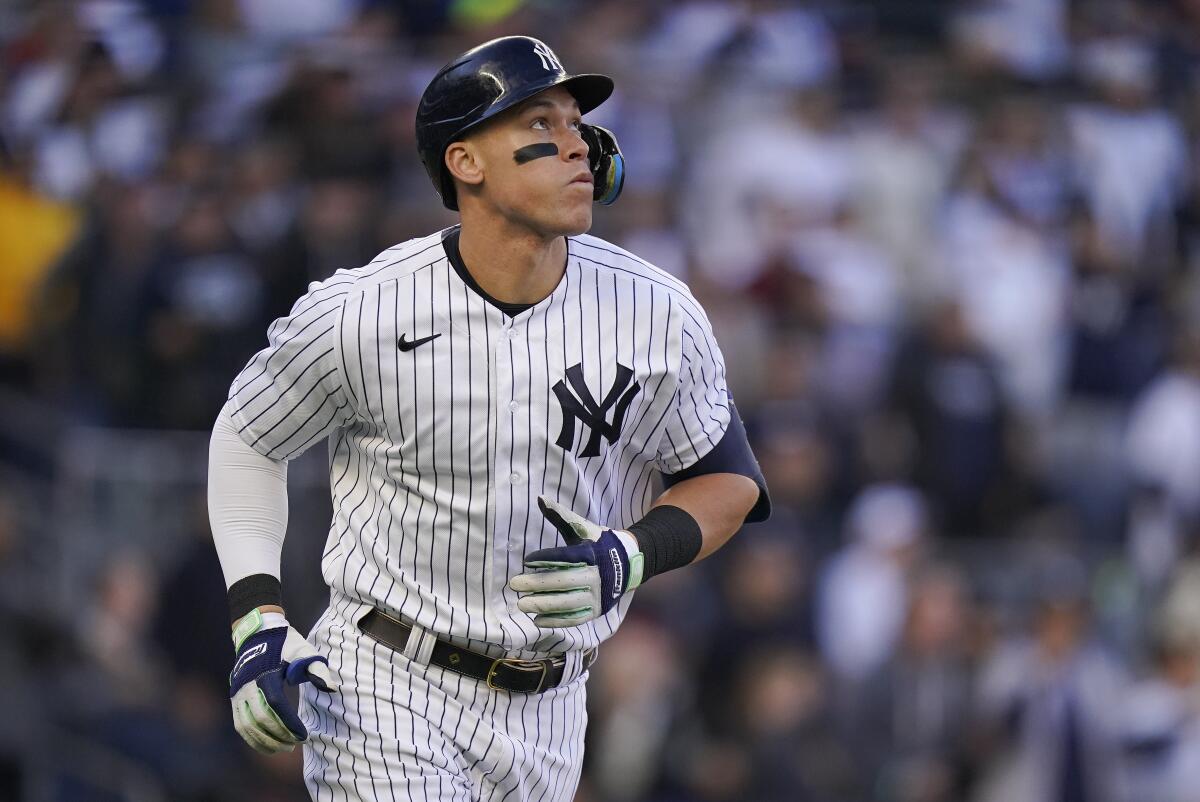 aaron judge