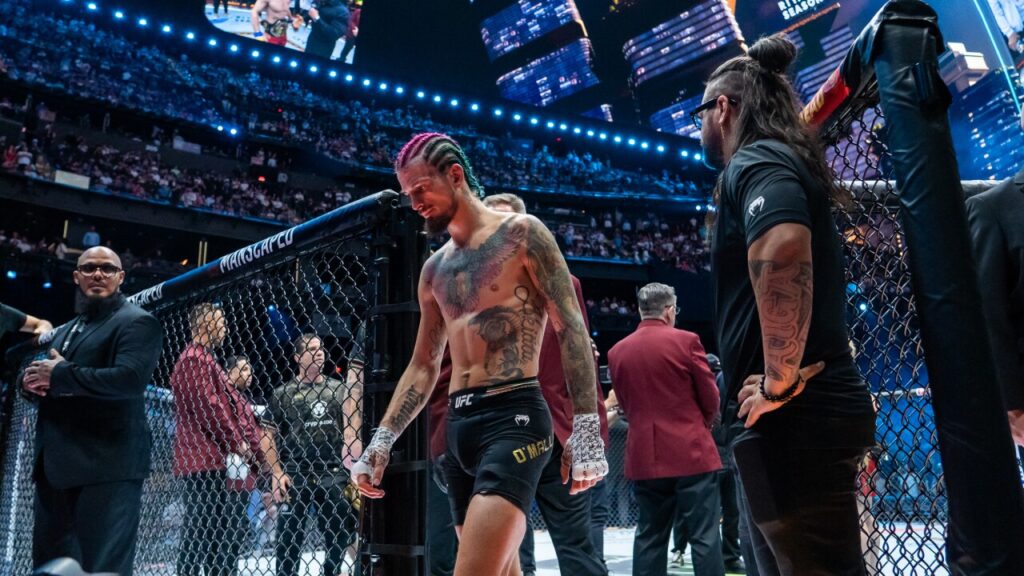 nouche ufc