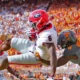 Georgia vs tennessee
