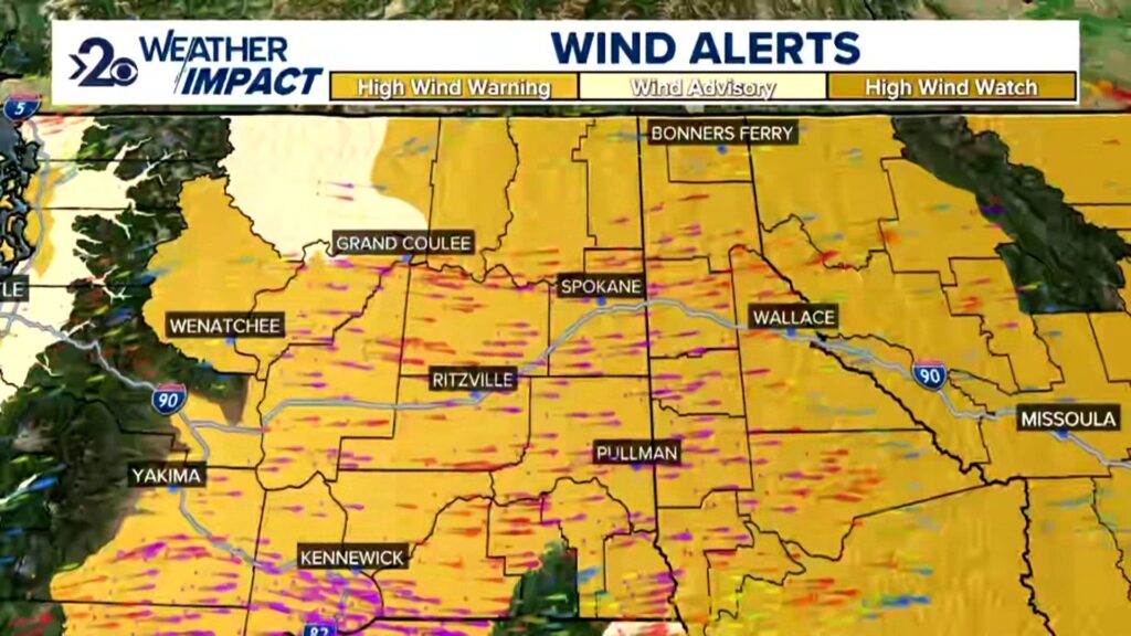 Weather Blizzard Warning