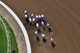 Preakness 2026